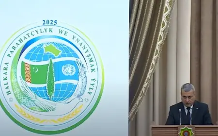 Lebap welaýat häkimligi tarapyndan geçirilen iş maslahaty