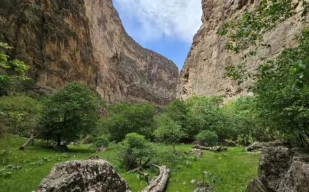 Богатство и благополучие заключены в природе
