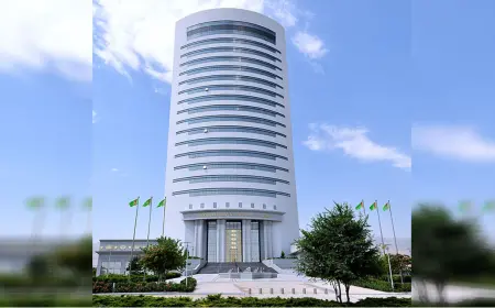 Deals at the State Commodity and Raw Materials Exchange of Turkmenistan totaled USD 290,656,400