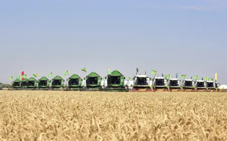 В Лебапском велаяте стартует зерноуборочная кампания