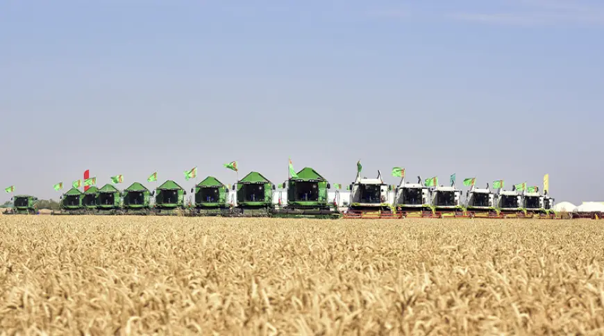 Wheat Harvest Season Begins in Lebap Province