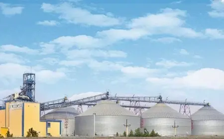 Новые рубежи на пути развития агропромышленности в Койтендаге