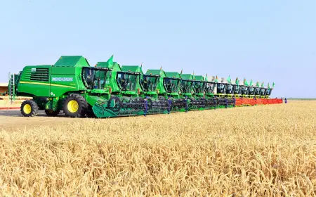 Lebap Vilayetinde Buğday Hasadı Törenle Başladı