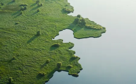 Flevopolder: Уникальный голландский проект, изменивший карту мира