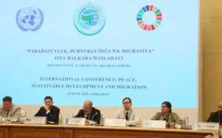 Türkmenistanda elektron wiza ulgamy ornaşdyrylýar: syýahatçylyk we işewürlik ösüşine täze itergi