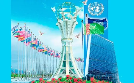 Политика нейтралитета — прочная основа мира и стабильности в мире