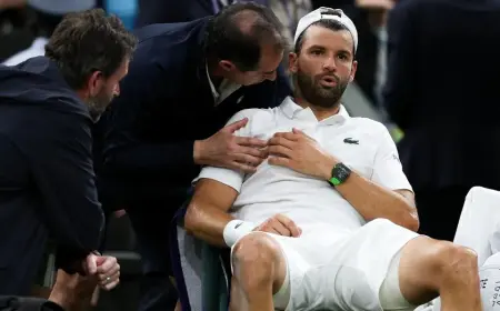 Уимблдон 2025: Момент, когда тело подвело — трагедия Григора Димитрова