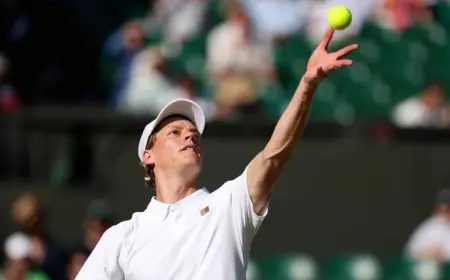 Sinner Wimbledonyň finalyna çykdy