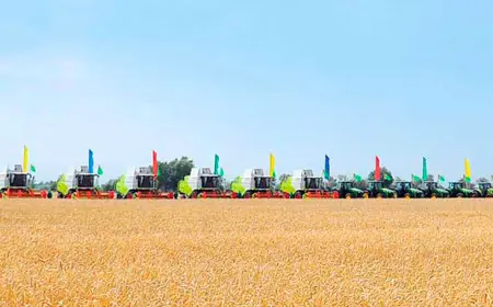 Трудовая победа зерноводов: Родине сдано более 1 миллиона 400 тысяч тонн пшеницы