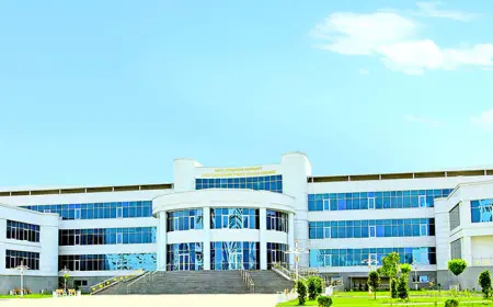 Sahy Jepbarow adyndaky Arkadag şäher ýörite sungat mekdebi 2025/2026-njy okuw ýyly talyplyga kabul edýär