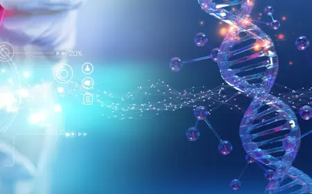 Найден способ заставить «уставшие» иммунные клетки бороться с раком