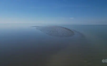 Hazar deňzindäki täze ada suwuň çekilmegi sebäpli emele geldi