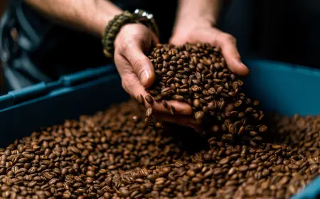 Учёные выяснили, что кофеин может снижать эффективность антибиотиков