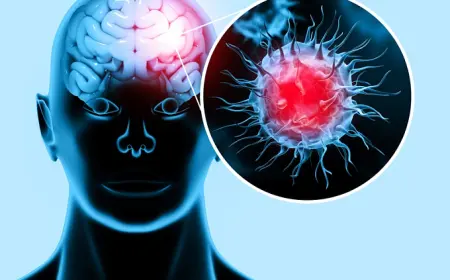 Пандемия Covid-19 ускорила старение мозга даже у тех, кто не болел — выяснили учёные