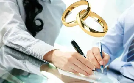Заключение и расторжение брака: правовые основы и общественное значение