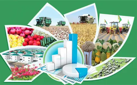 Итоги первых семи месяцев года: В экономике Лебапского велаята обеспечивается стабильный темп развития