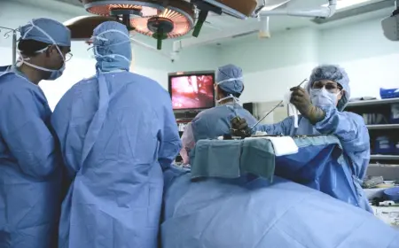 Рак печени: возможно предотвратить 60% случаев — предупреждают ученые