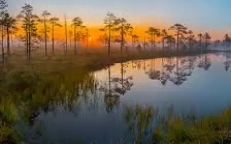 Человечество лишилось значительной части подземных вод за 22 года