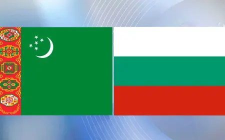 Представитель Болгарии прибыл на международную конференцию в Авазе