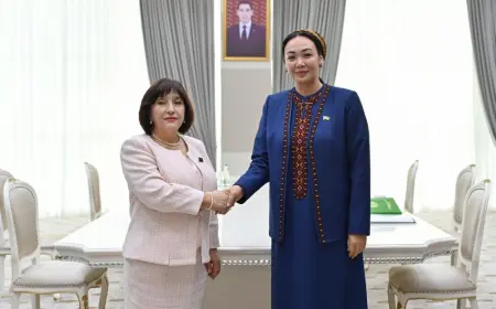 Meeting Held Between the Chairperson of the Mejlis of Turkmenistan and the Chairperson of the Milli Majlis of Azerbaijan