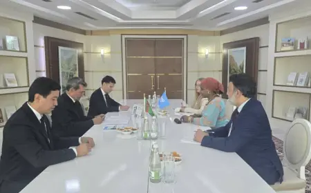 Issues of Cooperation Between Turkmenistan and UNIDO Discussed
