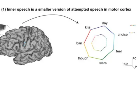 Учёные достигли рекордной точности в расшифровке мыслей