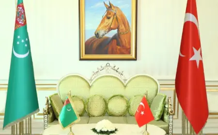 Турция упростила процесс получения студенческих виз для граждан Туркменистана