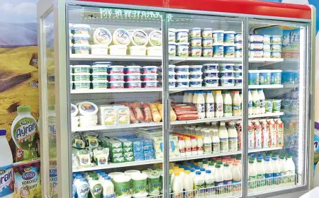 Трудовой вклад коллектива Лебапского мясомолочного предприятия в обеспечение продовольственного изобилия