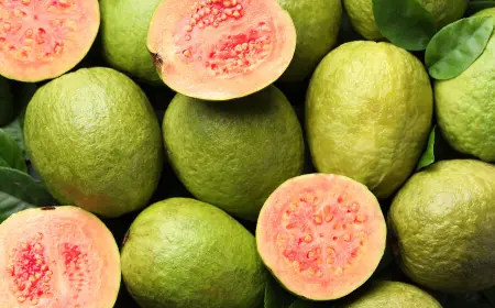 Учёные разработали недорогое средство против рака печени на основе соединений из гуавы