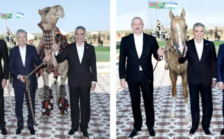 Berdimuhamedov Gifted Aliyev an Akhal-Teke Horse, and Mirziyoyev a Camel and a Camel Calf