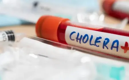 ВОЗ: Смертность от холеры в 2024 году резко выросла — более 6 тысяч жертв