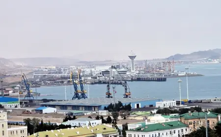 Туркменистан нарастил поставки товаров из Грузии до $25 млн