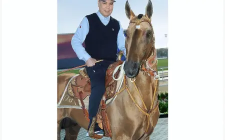 Национальный Лидер туркменского народа ознакомился с ходом подготовки к конным скачкам, посвящённым празднованию Дня Независимости