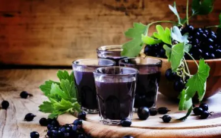 Black Currant Found to Have Beneficial Effect on Liver Health