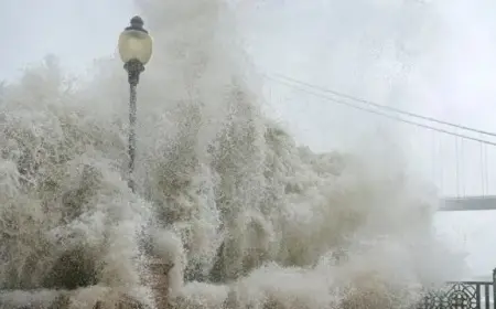 В Гонконг обрушился супертайфун «Рагаса»: закрыты метро, отменены авиарейсы