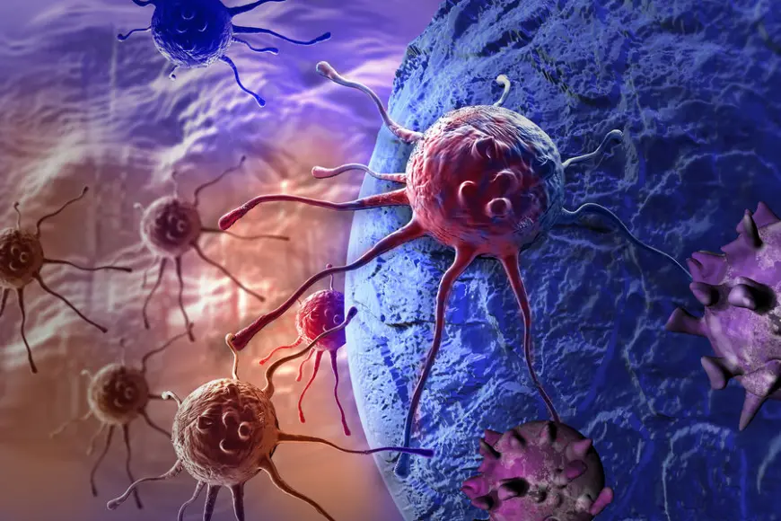 Scientists Discover a “Window of Vulnerability” in Prostate Cancer Cells