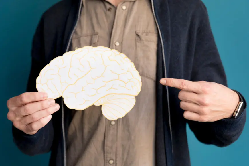 A "Switch" for Alcohol Addiction Found in the Brain: The Role of the Paraventricular Thalamus