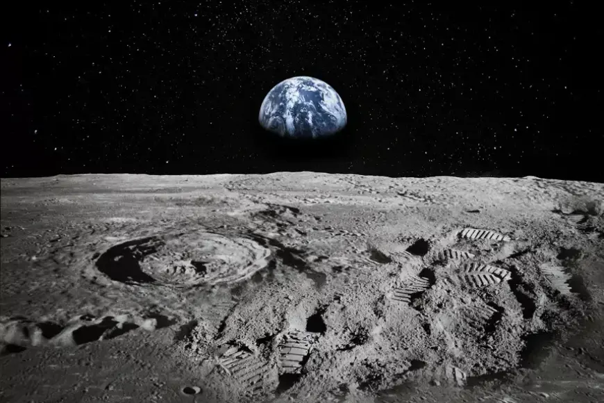 Scientists Determine Which Crops Can Grow on the Moon