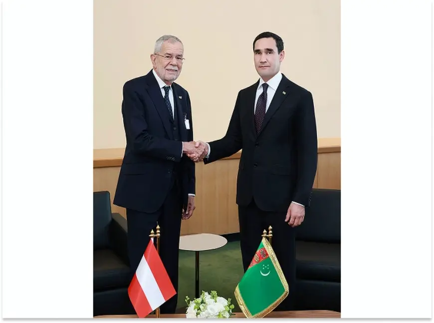 Глава государства встретился с Федеральным Президентом Австрии