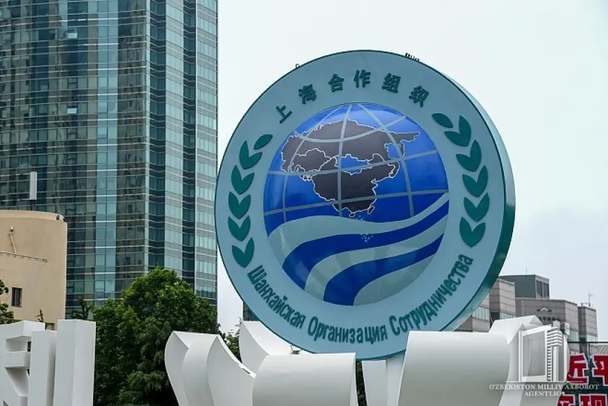 19 стран подали заявки на вступление в ШОС