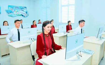 Школьники нашей страны завоевали 420, а студенты — 335 медалей на международных предметных и интернет-олимпиадах