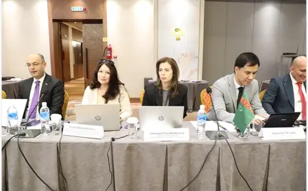 Türkmen wekiliýeti parnik gazlaryny tükellemegiň çygrynda mümkinçilikleri ýokarlandyrmak boýunça treninge gatnaşýar