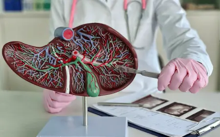 Представлен первый отчет об успешной пересадке печени от генетически модифицированной свиньи человеку