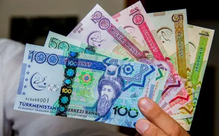 Talyplar türkmen manadynyň dolanyşyga girizilen gününe bagyşlanjak ykdysadyýet olimpiadasyna çagyrylýar