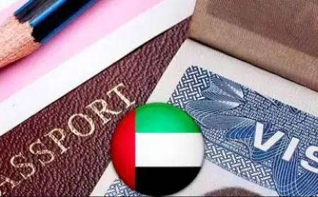 IT mutaxassislari va tadbir ishtirokchilari uchun maxsus BAA vizalari