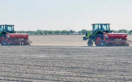 В Керкинском этрапе широко развернулась посевная кампания пшеницы