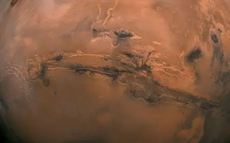 Стабильная жизнь на Марсе: план и условия Маска