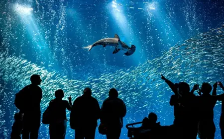 20-nji oktýabr: Amulda gyzykly maglumatlar