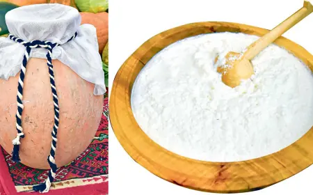 Düýe çaly — bedene güýç, jan saglygyna şypa