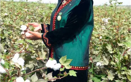 Akjagülüň zähmet ýoly — ýürege we zähmete esaslanan üstünlikleriň taryhy